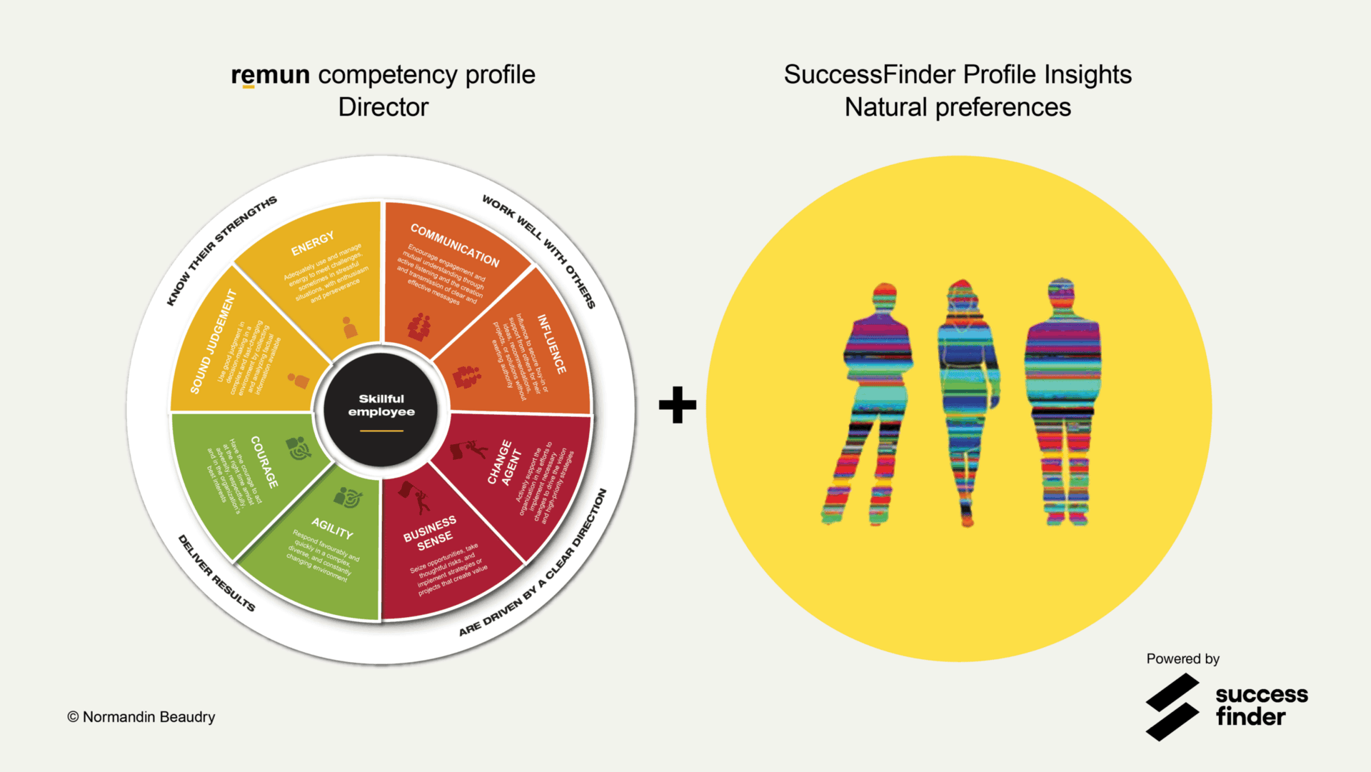 Competency profile and 2. SuccessFinder Profile Insights